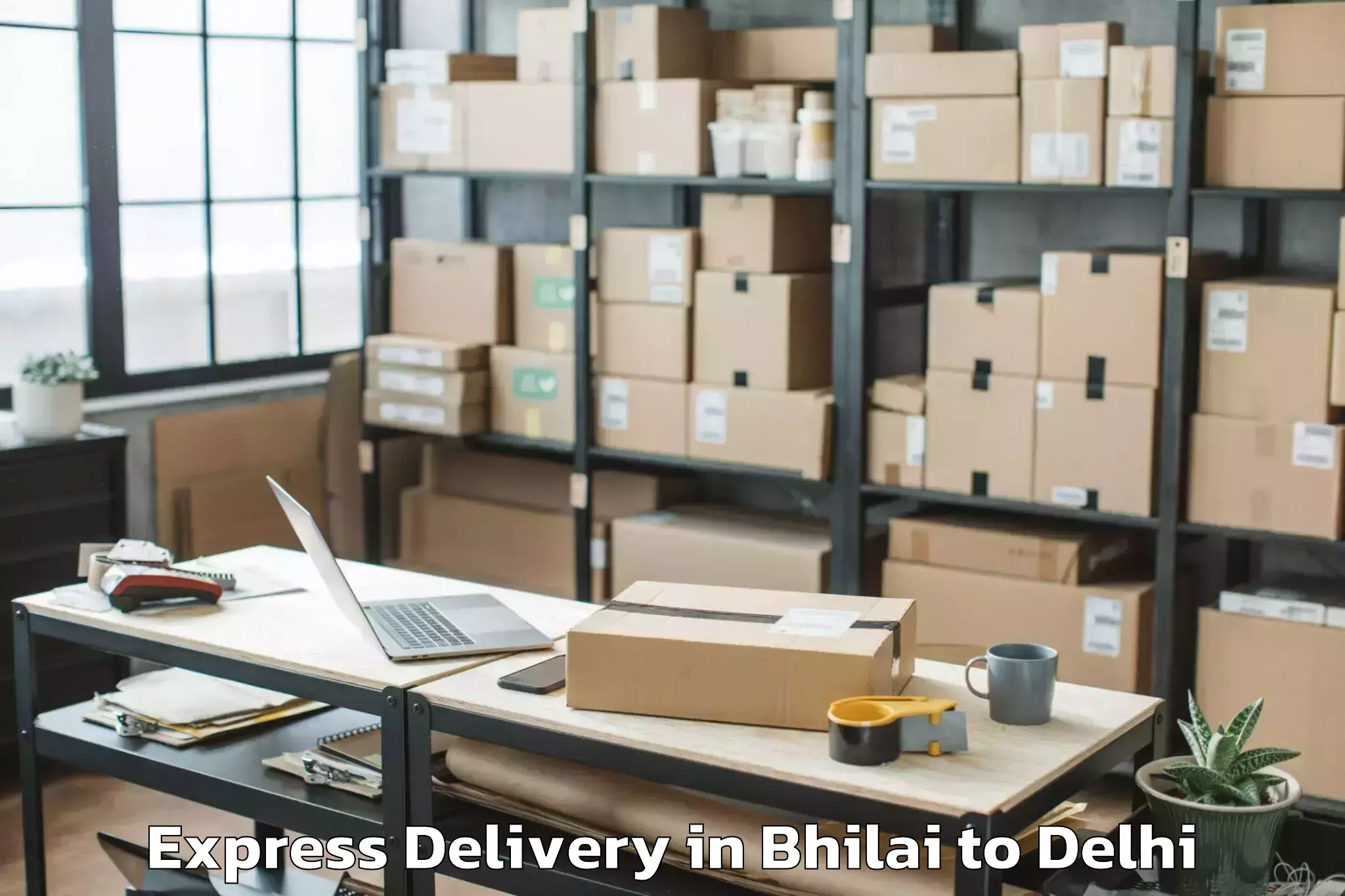 Efficient Bhilai to Dlf Promenade Mall Express Delivery